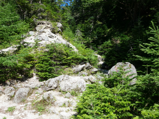 鳳凰三山（青木鉱泉～ドンドコ沢コース）登山口コースガイド ドンドコ沢枝沢【登山口ナビ】