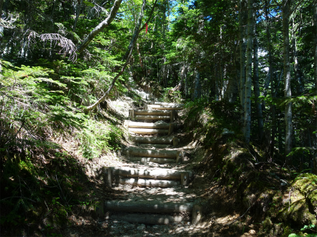 鳳凰三山（青木鉱泉～ドンドコ沢コース）登山口コースガイド 階段【登山口ナビ】