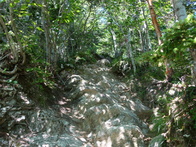 鳳凰三山（青木鉱泉～ドンドコ沢コース）登山口コースガイド 露岩【登山口ナビ】