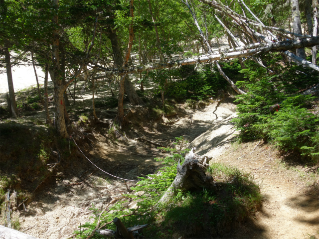 鳳凰三山（青木鉱泉～ドンドコ沢コース）登山口コースガイド【登山口ナビ】