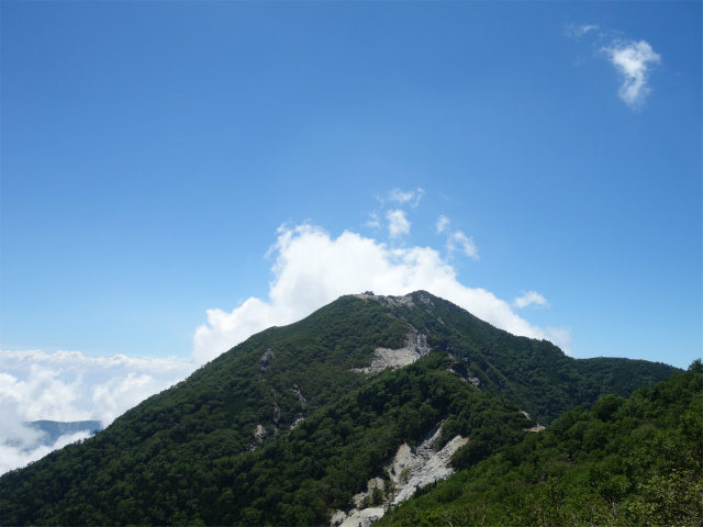 鳳凰三山（青木鉱泉～ドンドコ沢コース）登山口コースガイド 地蔵岳からの観音岳の眺望【登山口ナビ】