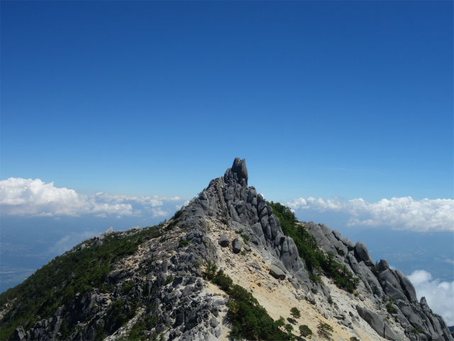 鳳凰三山（青木鉱泉～ドンドコ沢コース）登山口コースガイド 赤抜沢ノ頭山頂からのオベリスク【登山口ナビ】