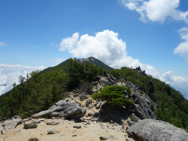 鳳凰三山（青木鉱泉～ドンドコ沢コース）登山口コースガイド 赤抜沢ノ頭山頂【登山口ナビ】