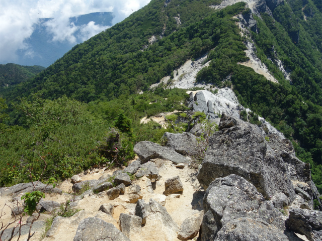 鳳凰三山（青木鉱泉～ドンドコ沢コース）登山口コースガイド 赤抜沢ノ頭の急斜面【登山口ナビ】