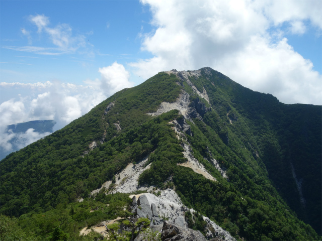 鳳凰三山（青木鉱泉～ドンドコ沢コース）登山口コースガイド 赤抜沢ノ頭から観音岳の眺望【登山口ナビ】