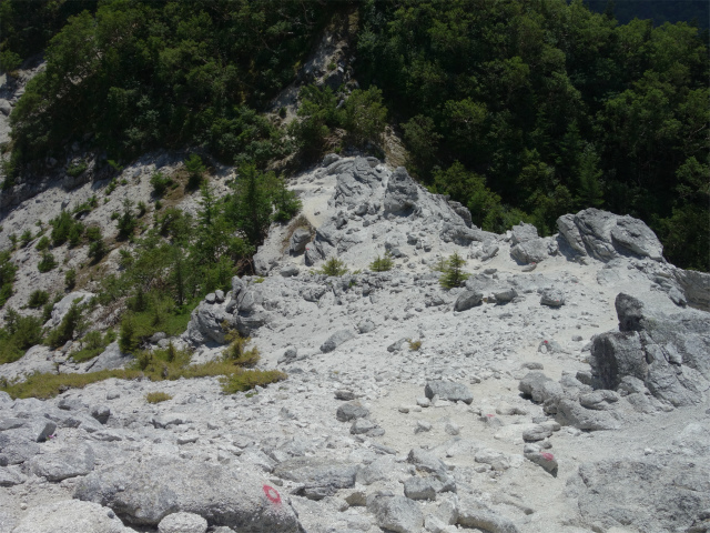 鳳凰三山（青木鉱泉～ドンドコ沢コース）登山口コースガイド 急坂【登山口ナビ】