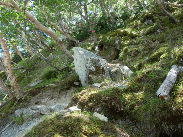 鳳凰三山（青木鉱泉～ドンドコ沢コース）登山口コースガイド 登り返し【登山口ナビ】