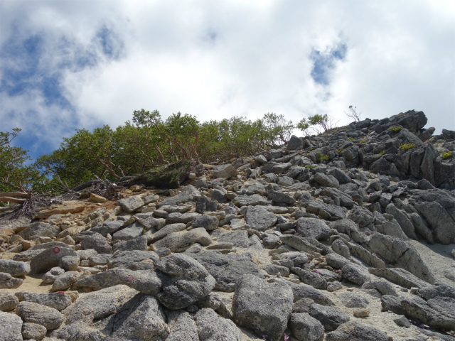 鳳凰三山（青木鉱泉～ドンドコ沢コース）登山口コースガイド 岩稜の急登【登山口ナビ】