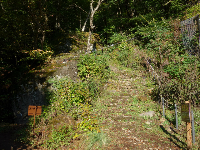 表妙義・金洞山（中ノ岳～鷹戻し～相馬岳） 登山口コースガイド 石門広場分岐【登山口ナビ】