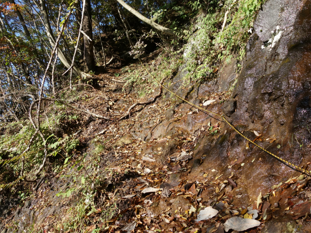 表妙義・金洞山（中ノ岳～鷹戻し～相馬岳） 登山口コースガイド 稜線コース分岐 ロープ【登山口ナビ】