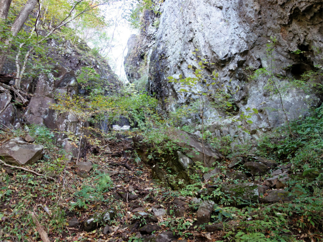 表妙義・金洞山（中ノ岳～鷹戻し～相馬岳） 登山口コースガイド 主稜のコル直下【登山口ナビ】