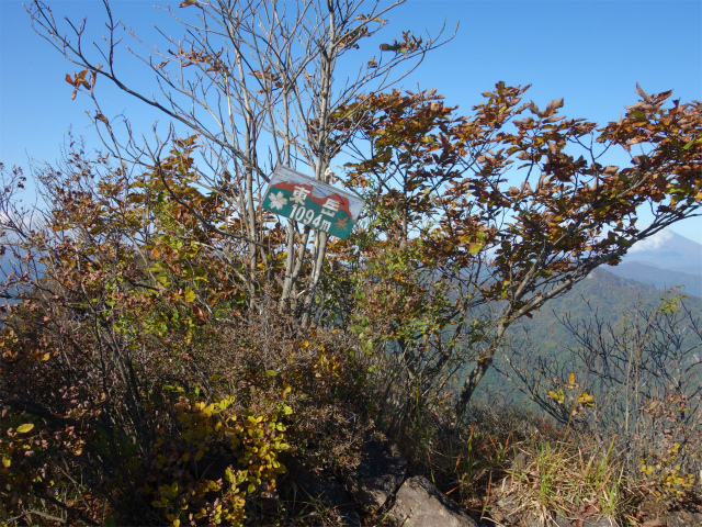 表妙義・金洞山（中ノ岳～鷹戻し～相馬岳） 登山口コースガイド 東岳山頂【登山口ナビ】