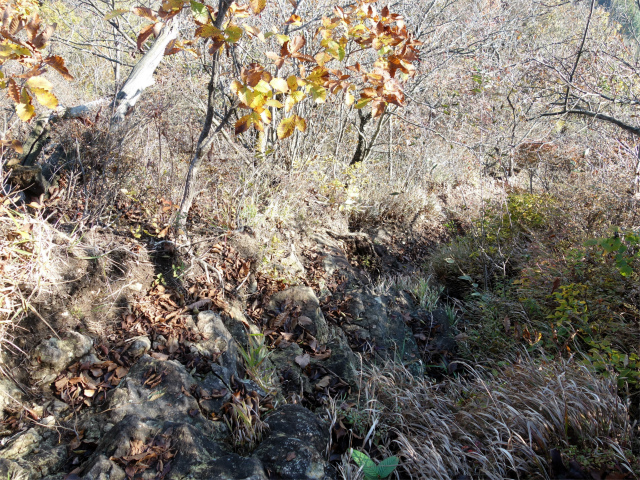 表妙義・金洞山（中ノ岳～鷹戻し～相馬岳） 登山口コースガイド 東岳山頂直下【登山口ナビ】