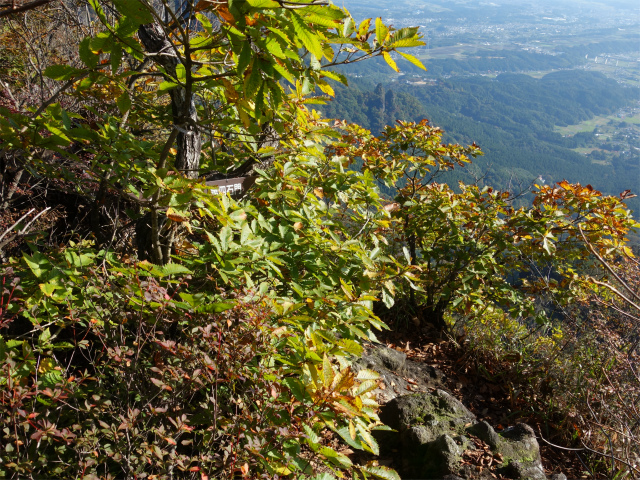 表妙義・金洞山（中ノ岳～鷹戻し～相馬岳） 登山口コースガイド 大砲岩エスケープルート分岐【登山口ナビ】