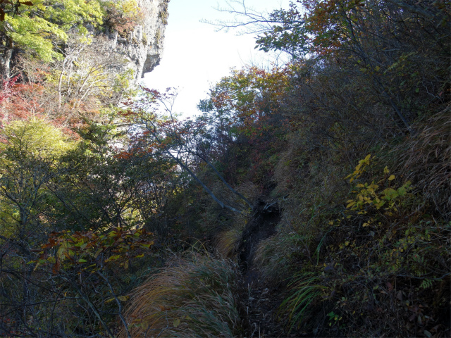 表妙義・金洞山（中ノ岳～鷹戻し～相馬岳） 登山口コースガイド 鞍部【登山口ナビ】