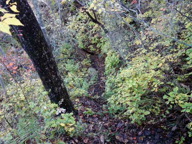 表妙義・金洞山（中ノ岳～鷹戻し～相馬岳） 登山口コースガイド【登山口ナビ】