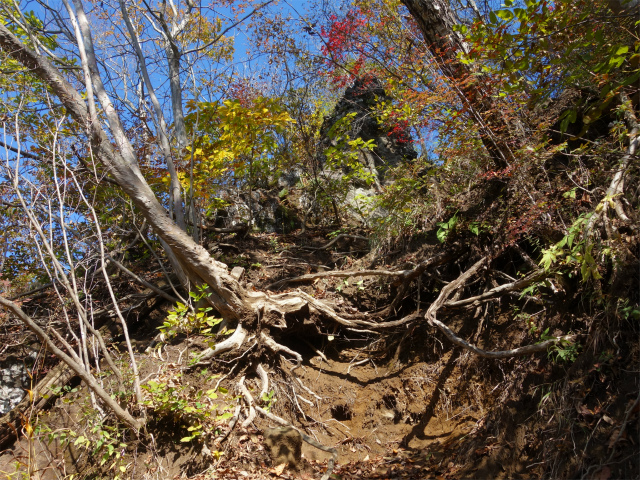 表妙義・金洞山（中ノ岳～鷹戻し～相馬岳） 登山口コースガイド【登山口ナビ】