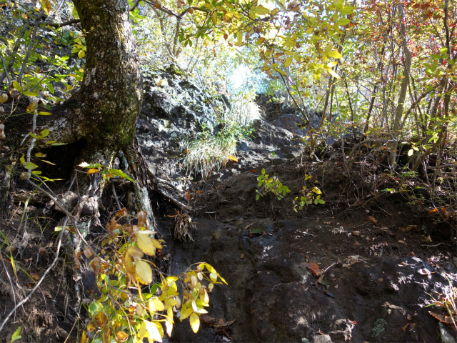 表妙義・金洞山（中ノ岳～鷹戻し～相馬岳） 登山口コースガイド 鷹戻しの頭直下の岩場【登山口ナビ】