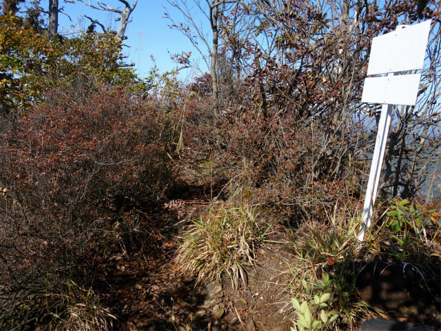 表妙義・金洞山（中ノ岳～鷹戻し～相馬岳） 登山口コースガイド 鷹戻しの頭【登山口ナビ】