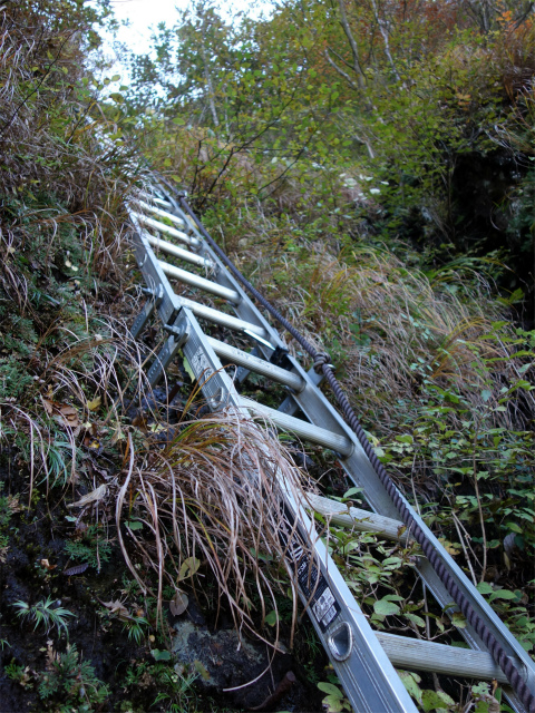 表妙義・金洞山（中ノ岳～鷹戻し～相馬岳） 登山口コースガイド 鷹戻しのハシゴ【登山口ナビ】