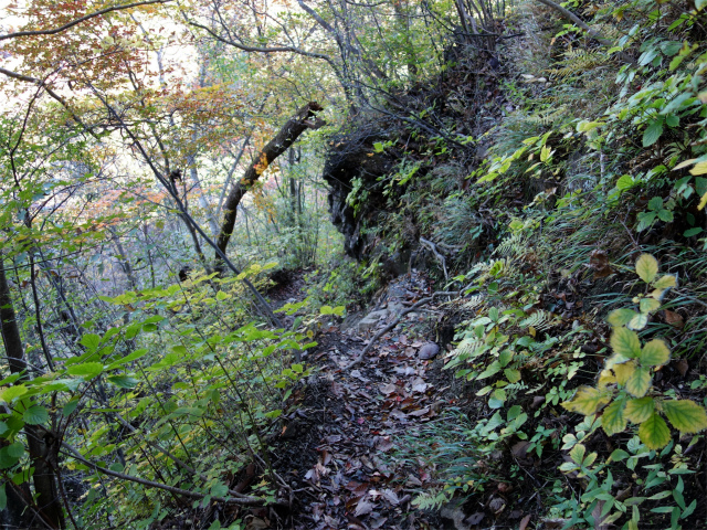 表妙義・金洞山（中ノ岳～鷹戻し～相馬岳） 登山口コースガイド 急な下り坂【登山口ナビ】