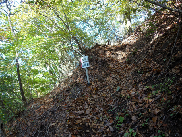 表妙義・金洞山（中ノ岳～鷹戻し～相馬岳） 登山口コースガイド 女坂巡視道分岐【登山口ナビ】