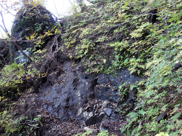 表妙義・金洞山（中ノ岳～鷹戻し～相馬岳） 登山口コースガイド【登山口ナビ】