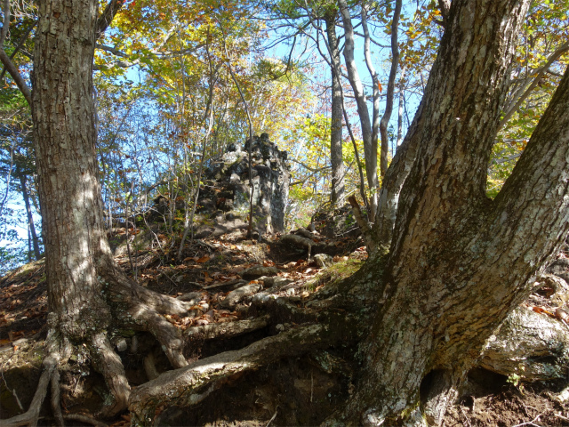 表妙義・金洞山（中ノ岳～鷹戻し～相馬岳） 登山口コースガイド【登山口ナビ】