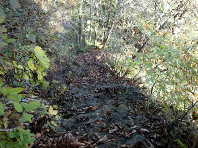 表妙義・金洞山（中ノ岳～鷹戻し～相馬岳） 登山口コースガイド 茨尾根パノラマ台直下の下り坂【登山口ナビ】