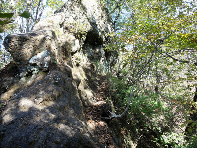 表妙義・金洞山（中ノ岳～鷹戻し～相馬岳） 登山口コースガイド 岩稜のトラバース【登山口ナビ】