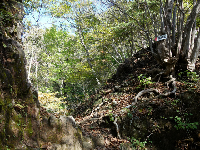 表妙義・金洞山（中ノ岳～鷹戻し～相馬岳） 登山口コースガイド 岩稜のトラバース【登山口ナビ】