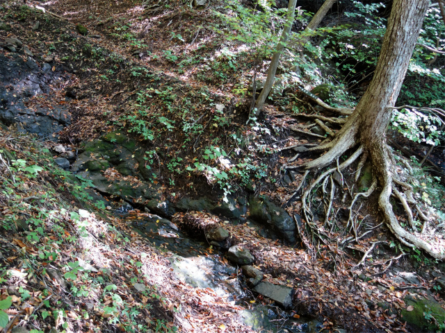 表妙義・金洞山（中ノ岳～鷹戻し～相馬岳） 登山口コースガイド 渡渉【登山口ナビ】