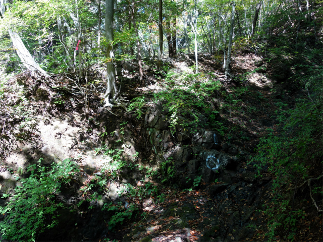 表妙義・金洞山（中ノ岳～鷹戻し～相馬岳） 登山口コースガイド【登山口ナビ】