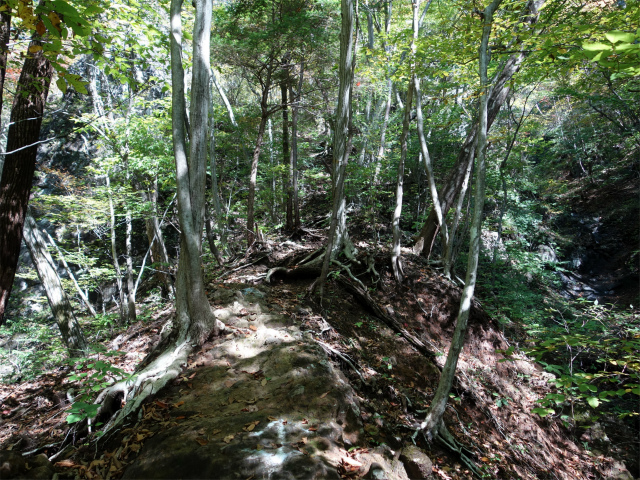 表妙義・金洞山（中ノ岳～鷹戻し～相馬岳） 登山口コースガイド 沢と沢の間の尾根【登山口ナビ】