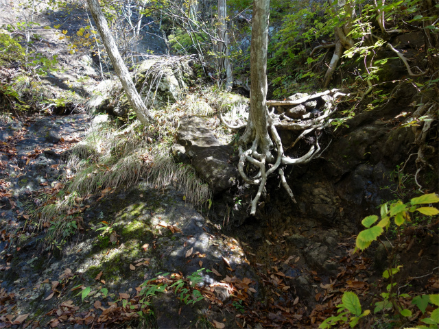 表妙義・金洞山（中ノ岳～鷹戻し～相馬岳） 登山口コースガイド 源頭【登山口ナビ】