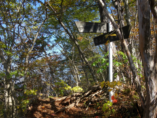 表妙義・金洞山（中ノ岳～鷹戻し～相馬岳） 登山口コースガイド 旧国民宿舎分岐【登山口ナビ】