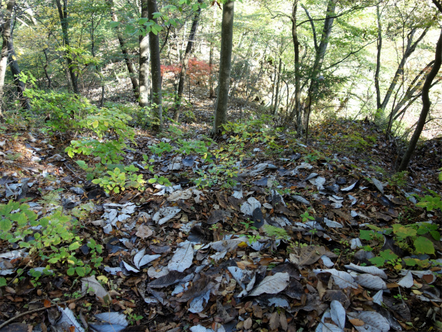 表妙義・金洞山（中ノ岳～鷹戻し～相馬岳） 登山口コースガイド 裏相馬岳の鞍部【登山口ナビ】