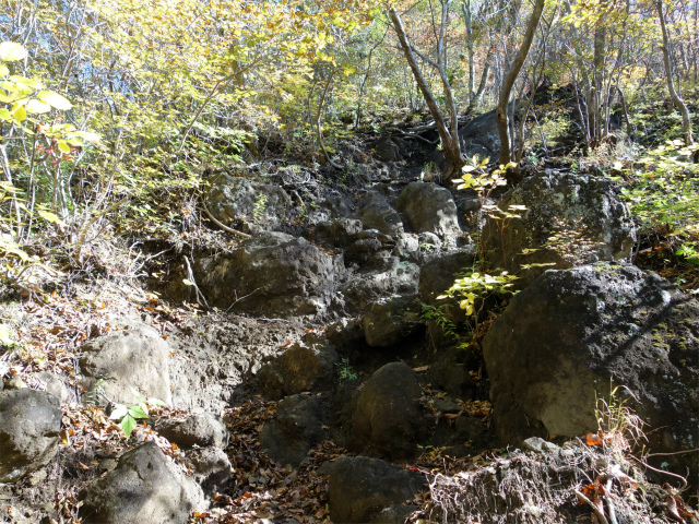 表妙義・金洞山（中ノ岳～鷹戻し～相馬岳） 登山口コースガイド 相馬岳直下の急登【登山口ナビ】