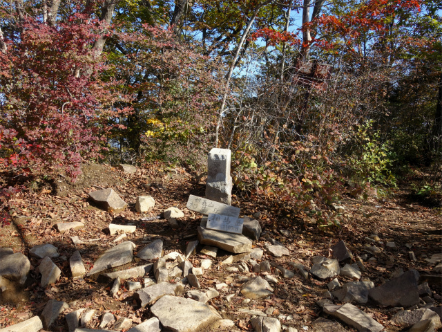 表妙義・金洞山（中ノ岳～鷹戻し～相馬岳） 登山口コースガイド 相馬岳山頂【登山口ナビ】