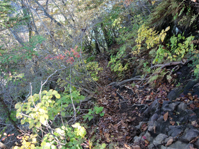 表妙義・金洞山（中ノ岳～鷹戻し～相馬岳） 登山口コースガイド 相馬岳山頂直下【登山口ナビ】