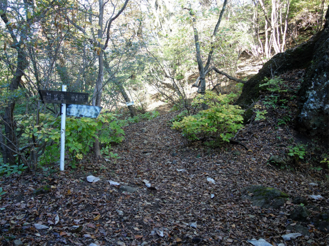 表妙義・金洞山（中ノ岳～鷹戻し～相馬岳） 登山口コースガイド タルワキ沢のコル【登山口ナビ】