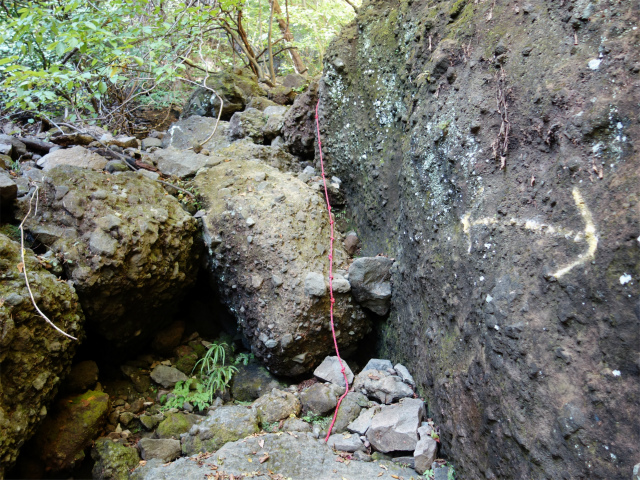 表妙義・金洞山（中ノ岳～鷹戻し～相馬岳） 登山口コースガイド タルワキ沢コースのロープの岩場【登山口ナビ】