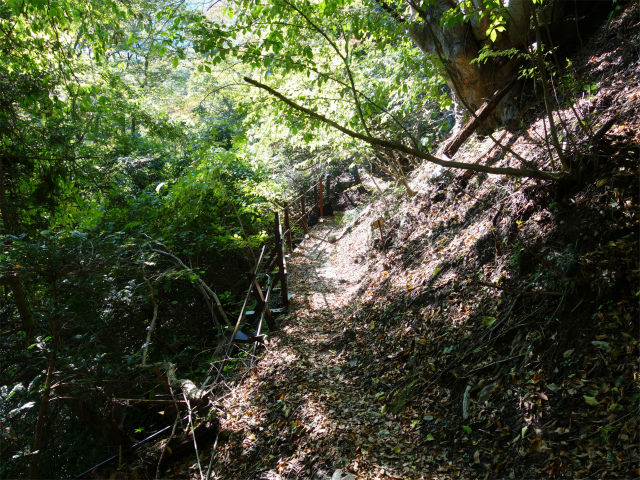 表妙義・金洞山（中ノ岳～鷹戻し～相馬岳） 登山口コースガイド 崩れた桟道【登山口ナビ】