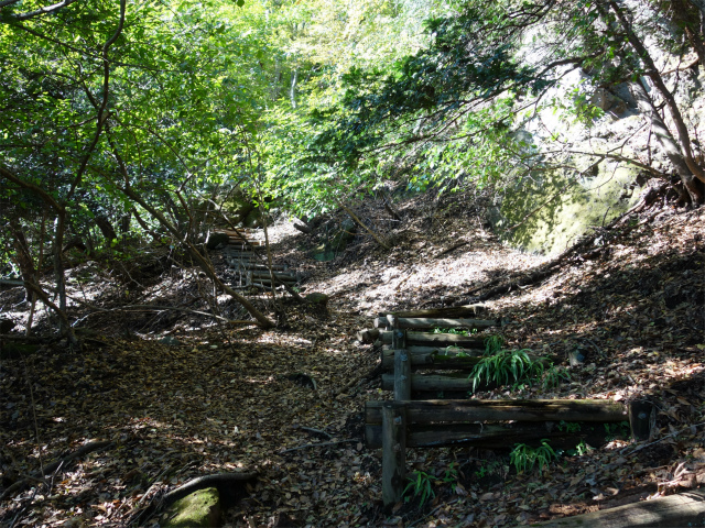 表妙義・金洞山（中ノ岳～鷹戻し～相馬岳） 登山口コースガイド 中間道階段【登山口ナビ】