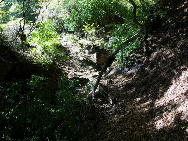 表妙義・金洞山（中ノ岳～鷹戻し～相馬岳） 登山口コースガイド 中間道小滝【登山口ナビ】