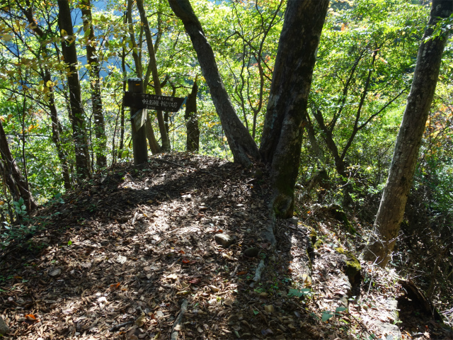 表妙義・金洞山（中ノ岳～鷹戻し～相馬岳） 登山口コースガイド 中間道【登山口ナビ】