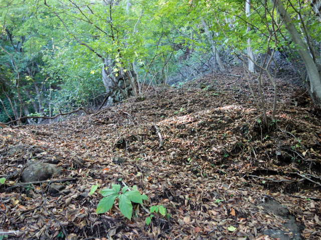 表妙義・金洞山（中ノ岳～鷹戻し～相馬岳） 登山口コースガイド 中間道九十九折れの急登【登山口ナビ】