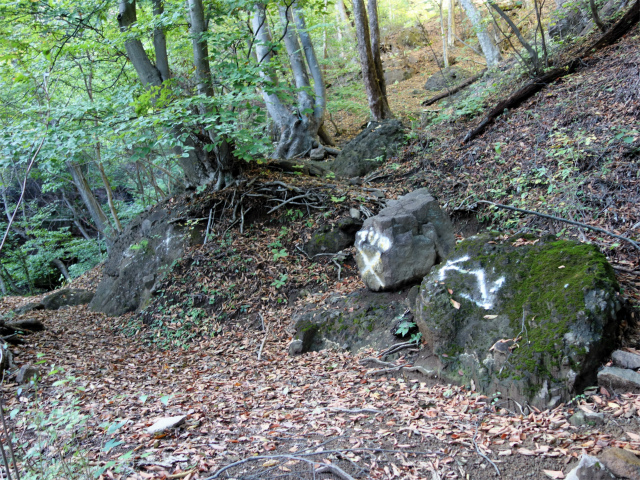 表妙義・金洞山（中ノ岳～鷹戻し～相馬岳） 登山口コースガイド 中間道堀切入口【登山口ナビ】