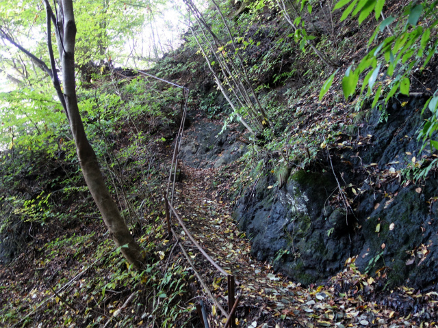 表妙義・金洞山（中ノ岳～鷹戻し～相馬岳） 登山口コースガイド 中間道手すり【登山口ナビ】