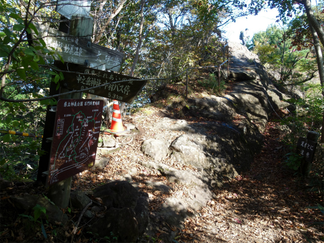 表妙義・金洞山（中ノ岳～鷹戻し～相馬岳） 登山口コースガイド 大砲岩分岐【登山口ナビ】